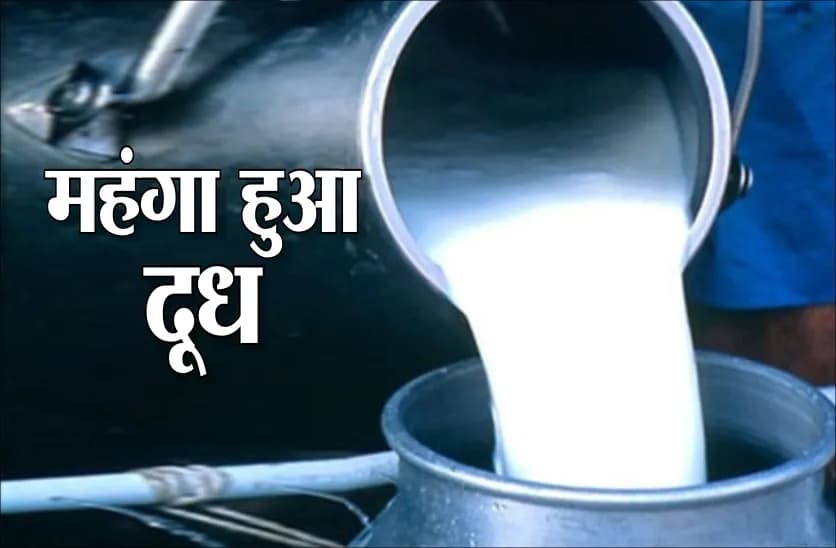 जबलपुर में एक महीने में ₹10 महंगा हुआ दूध, 80 रुपये प्रति लीटर पर पहुंची कीमत