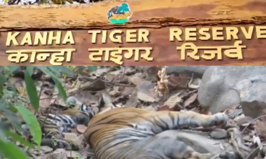 Kanha Tiger Reserve