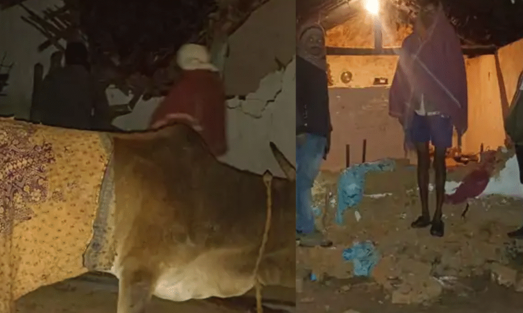 Mandla Elephant Attack