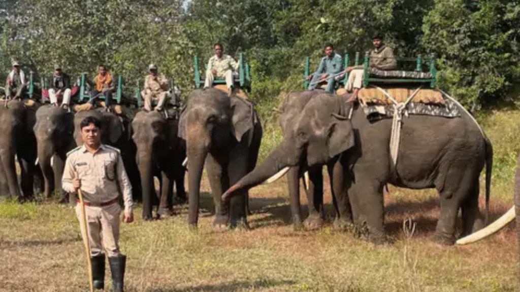 Seoni News : पेंच में बाघिन PN-224 की तलाश तेज